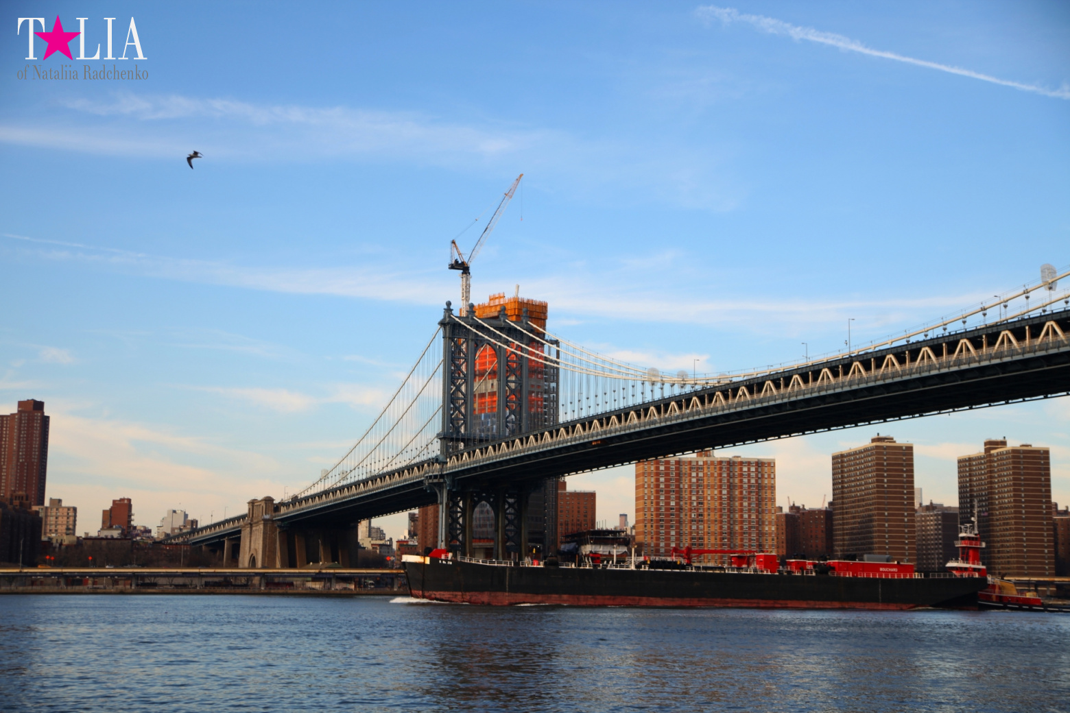 Manhattan Bridge in New York, USA
